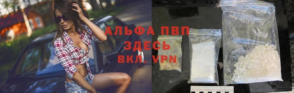 гидра Вязники