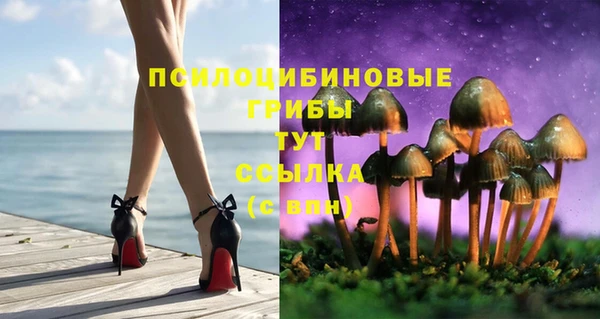 амфетамин Пестово