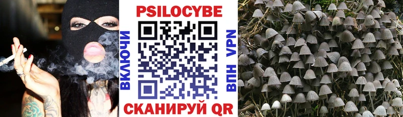 что такое наркотик  Верхняя Салда  Галлюциногенные грибы Magic Shrooms 